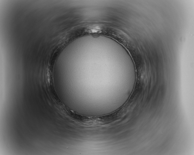 X0000095121442200712211300