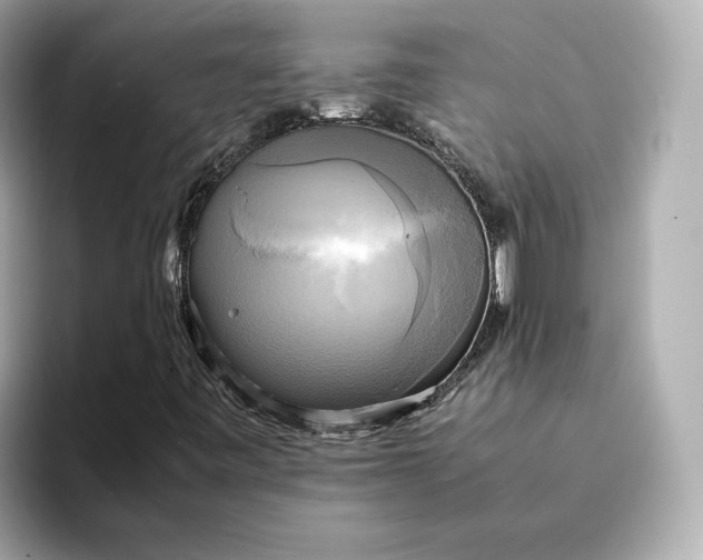 X0000095121443200712211300