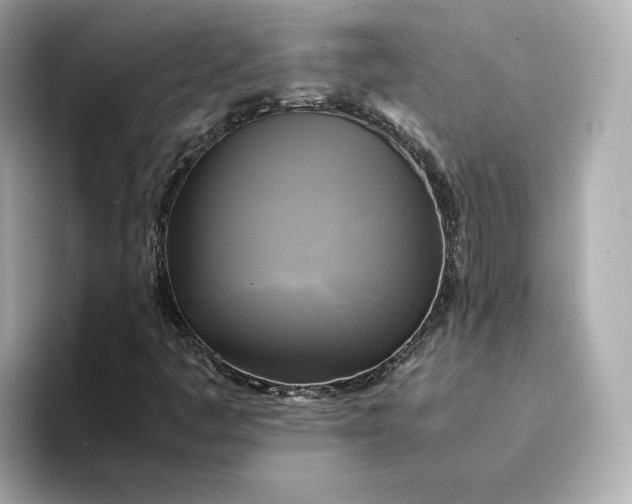 X0000095121445200712211300