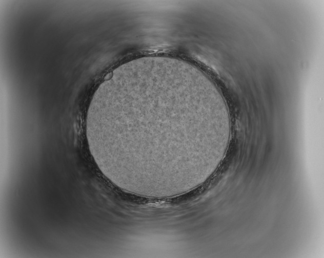 X0000095121447200712211300