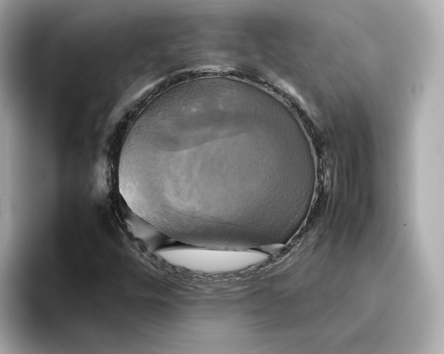 X0000095121448200712211300