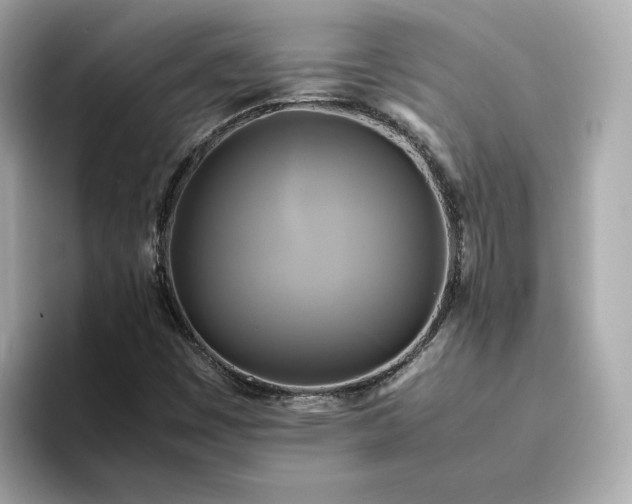 X0000095121449200712211300