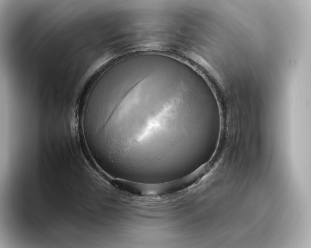 X0000095121450200712211300