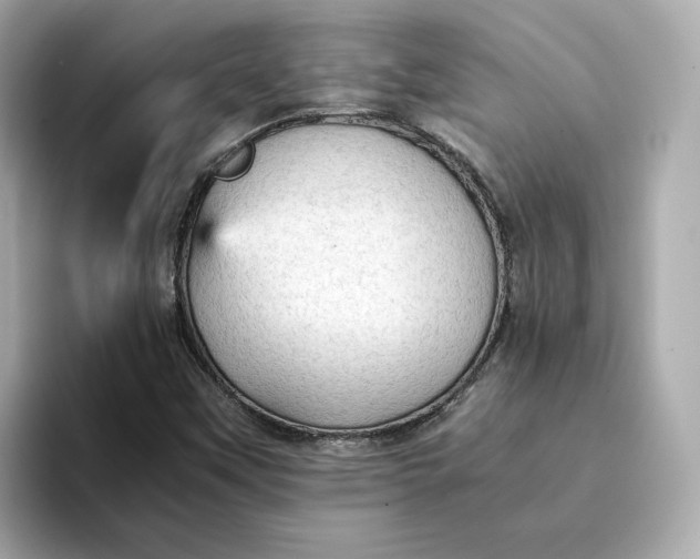 X0000095121451200712211300