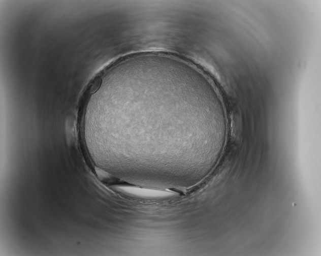 X0000095121452200712211300