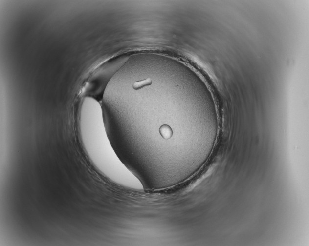 X0000095121453200712211300