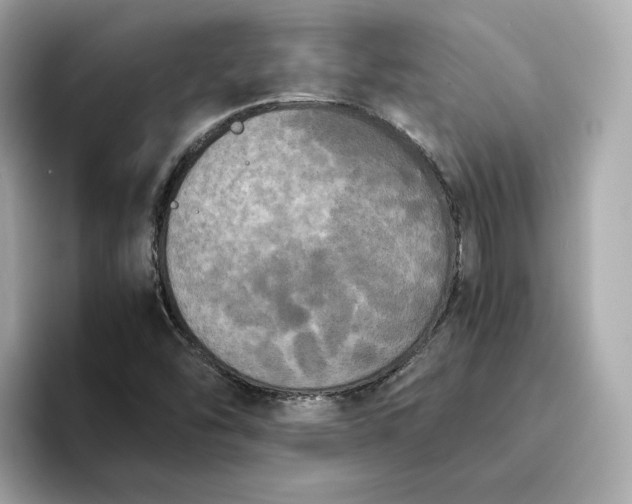 X0000095121454200712211300