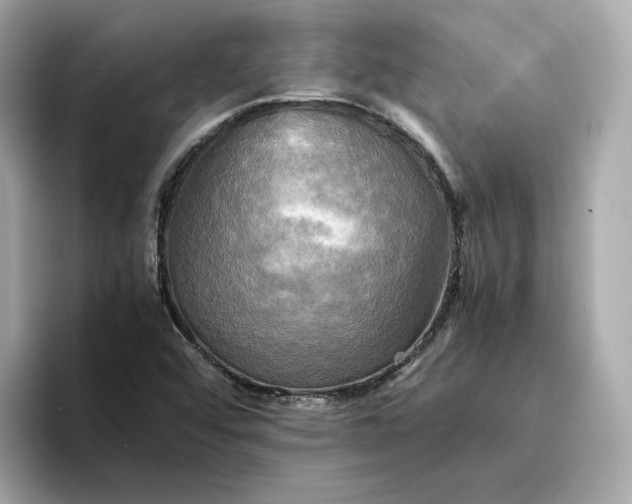 X0000095121456200712211300