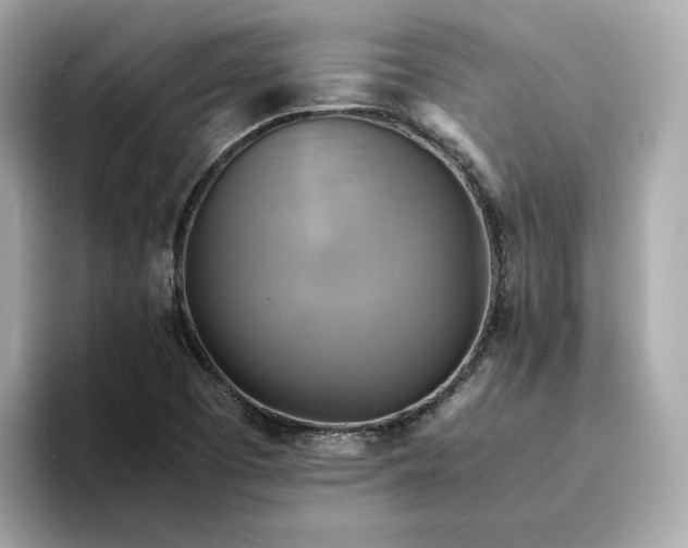 X0000095121457200712211300