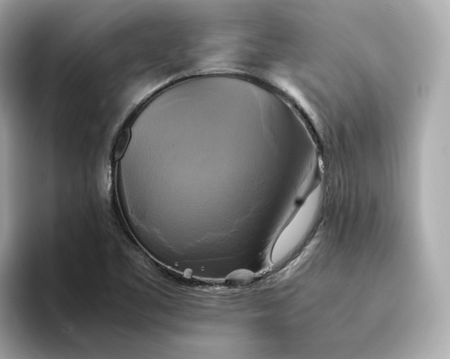 X0000095121461200712211300