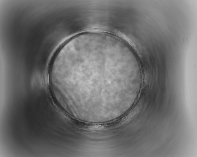 X0000095121462200712211300