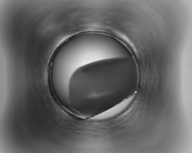 X0000095121463200712211300