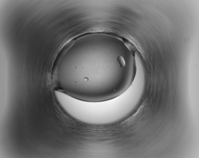 X0000095121465200712211300