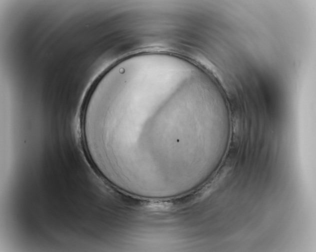 X0000095121466200712211300