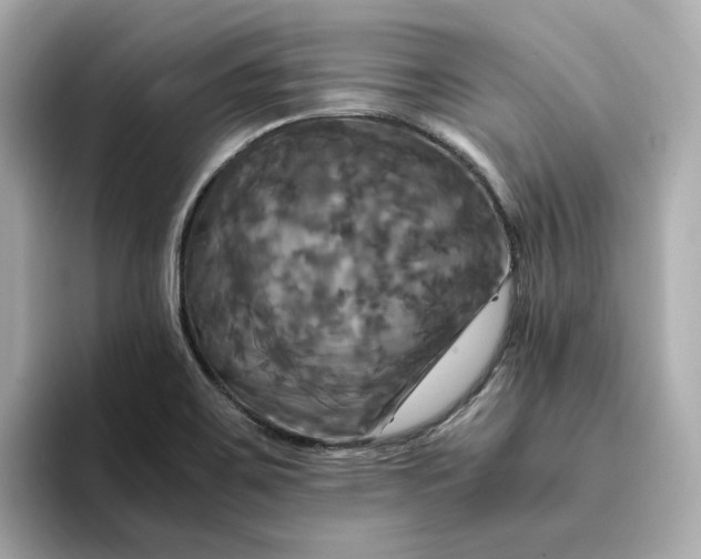 X0000095121467200712211300