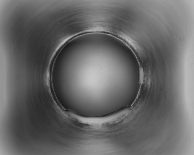 X0000095121468200712211259