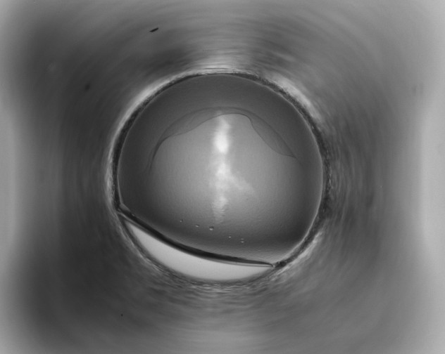 X0000095121469200712211259