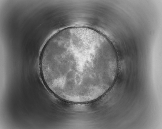 X0000095121470200712211259
