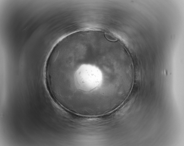 X0000095121471200712211259