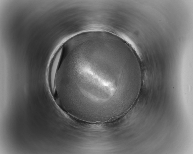 X0000095121472200712211259