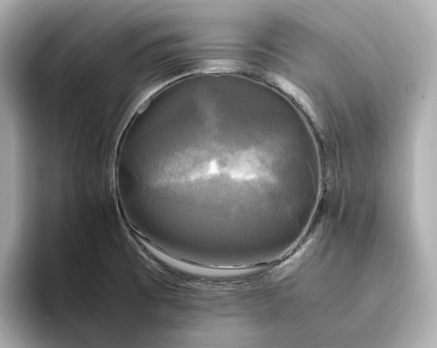 X0000095121473200712211259