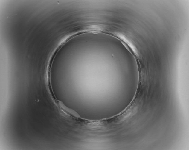 X0000095121477200712211259