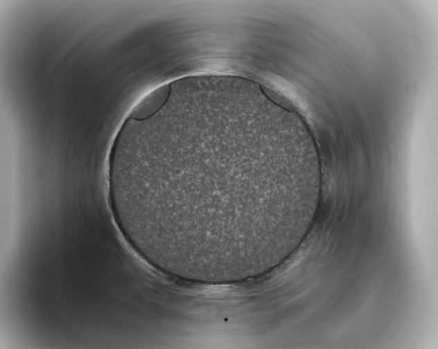 X0000095121479200712211259