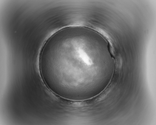 X0000095121480200712211259