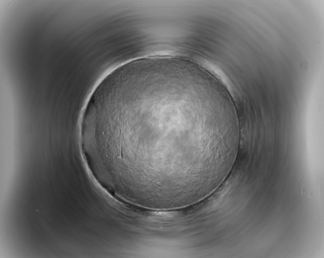 X0000095121483200712211259