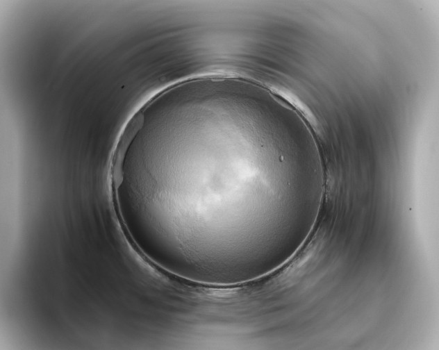 X0000095121484200712211259