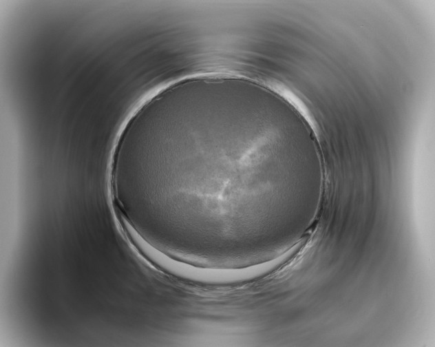 X0000095121485200712211259