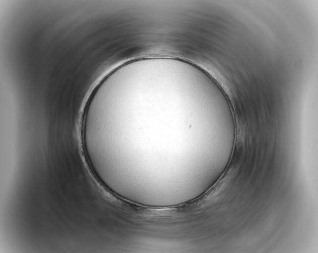 X0000095121486200712211259