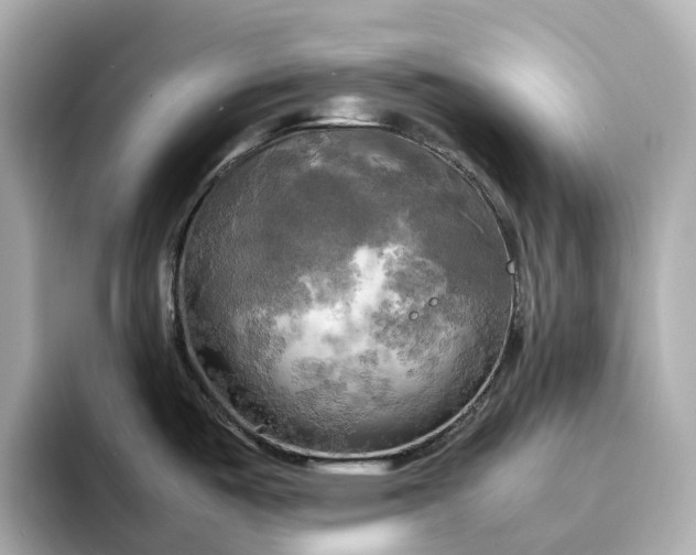 X0000095121487200712211259