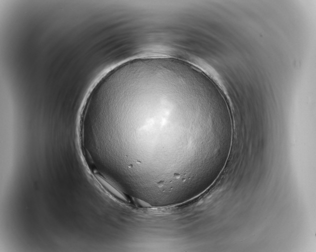 X0000095121488200712211259