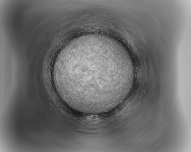 X0000095121489200712211259