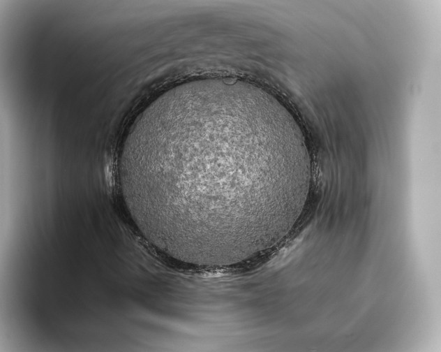 X0000095121490200712211259