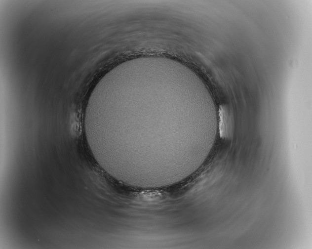 X0000095121491200712211259