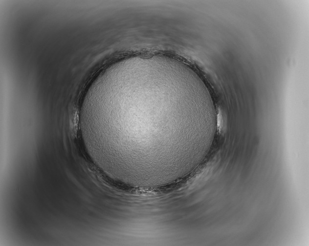 X0000095121492200712211259