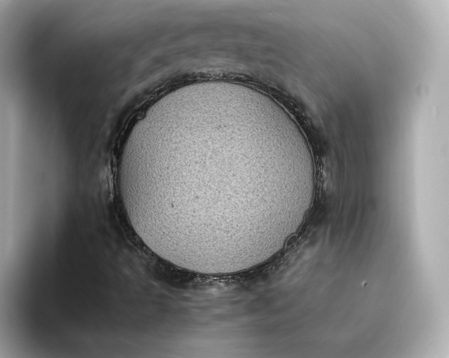 X0000095121493200712211259