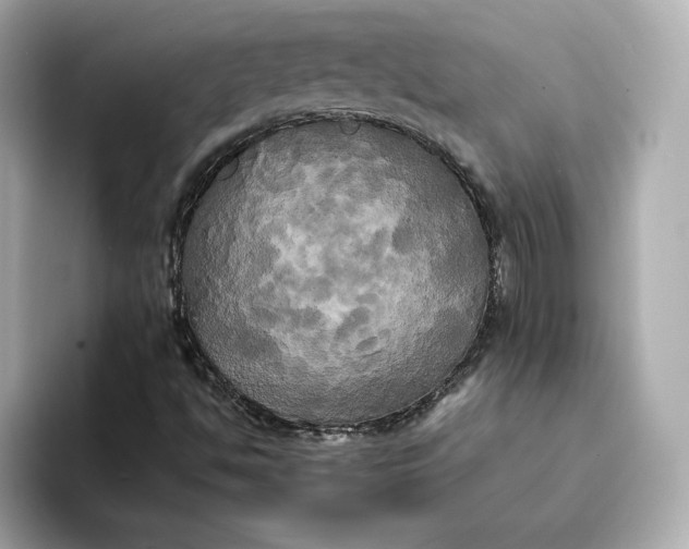 X0000095121494200712211259