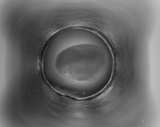 X0000095121497200712211259