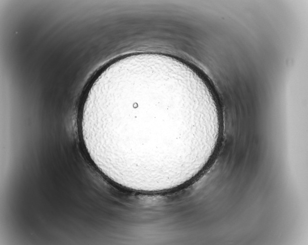 X0000095121498200712211259