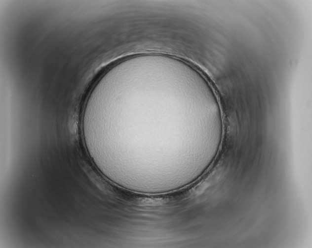 X0000095121499200712211259