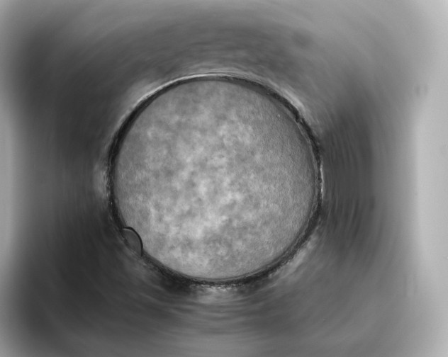 X0000095121501200712211259