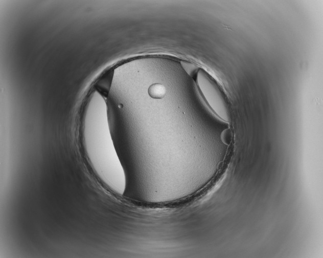 X0000095121502200712211259