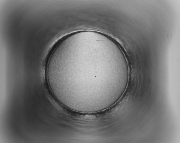 X0000095121503200712211259