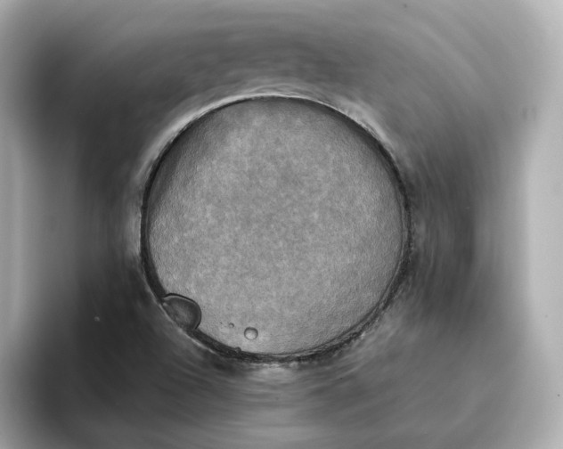 X0000095121504200712211259