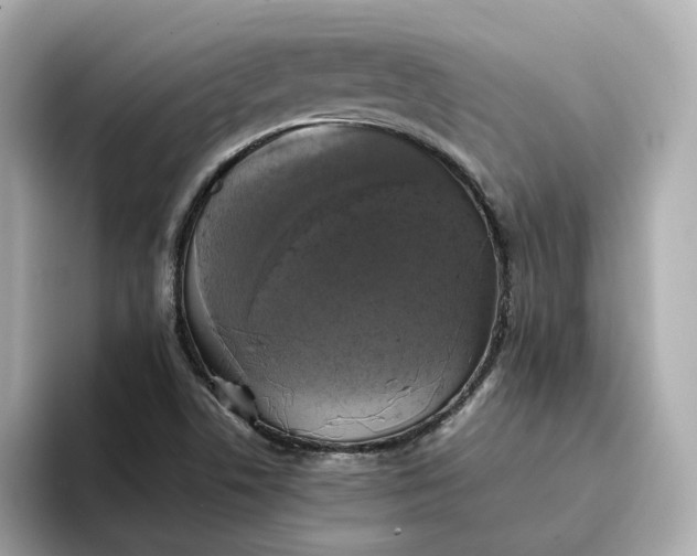 X0000095121506200712211259