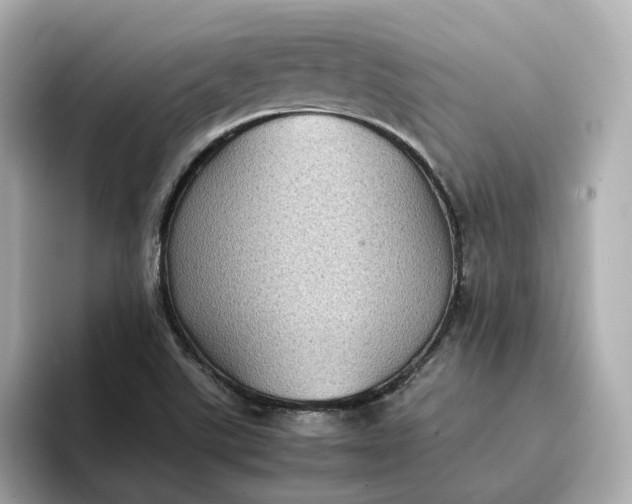 X0000095121507200712211259