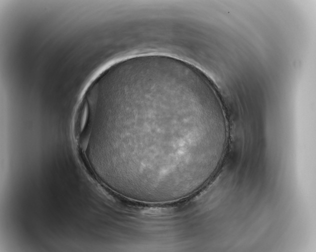 X0000095121510200712211259